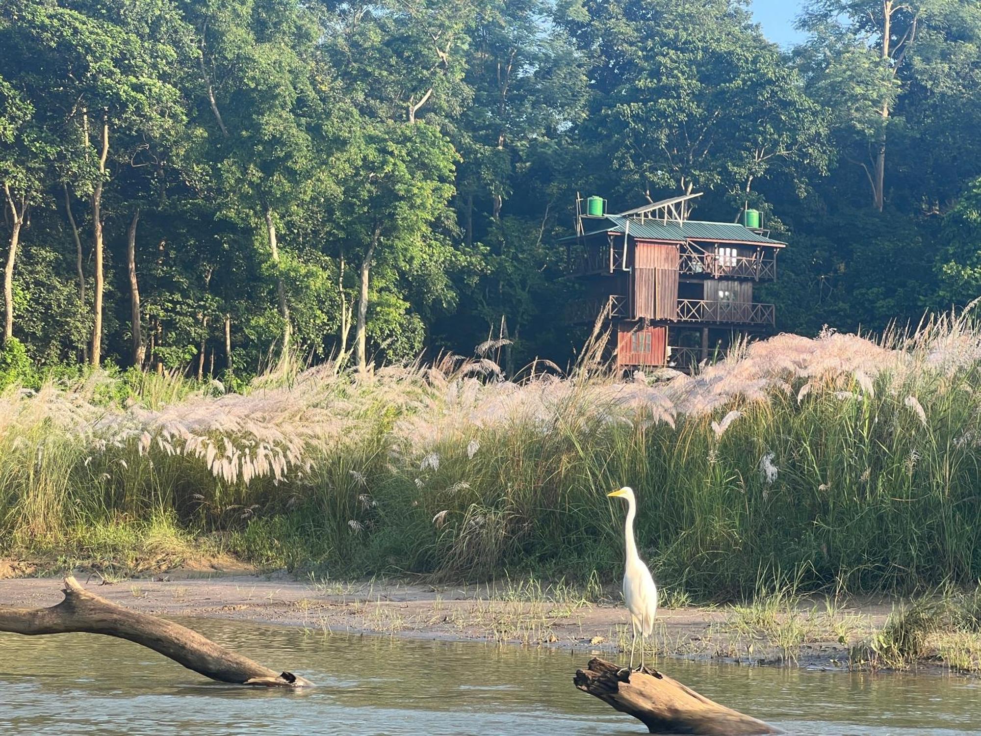 Chitwan Park Village Sauraha Exterior photo