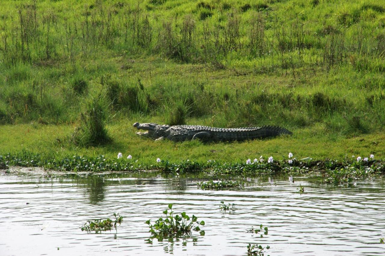 Chitwan Park Village Sauraha Exterior photo